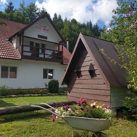 Casa Maia Apartment Cîrţişoara Exterior foto