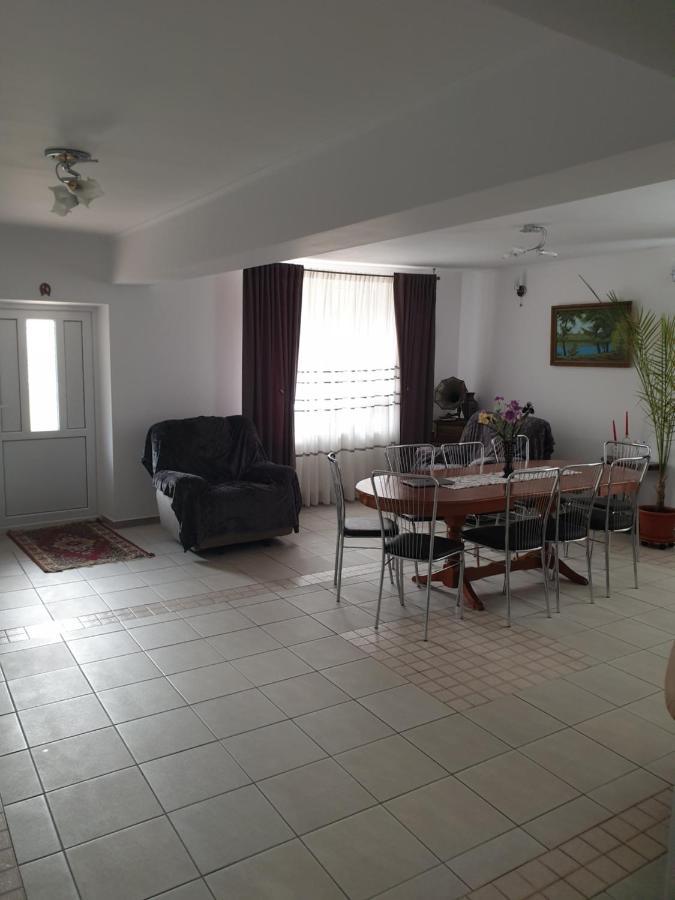 Casa Maia Apartment Cîrţişoara Exterior foto