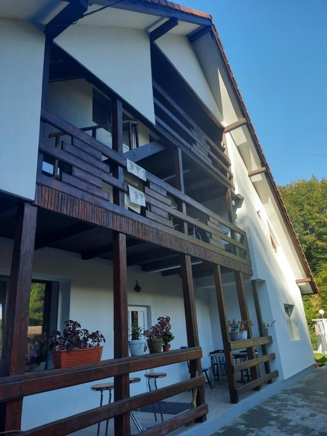 Casa Maia Apartment Cîrţişoara Exterior foto