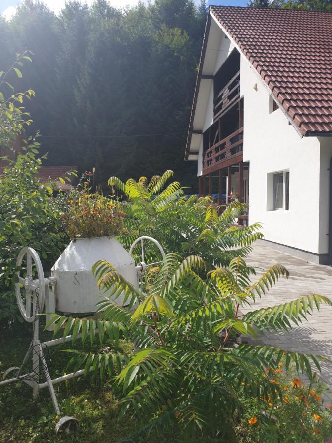 Casa Maia Apartment Cîrţişoara Exterior foto