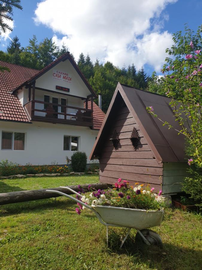 Casa Maia Apartment Cîrţişoara Exterior foto