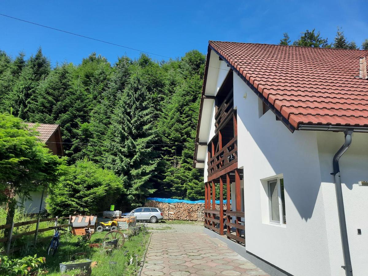 Casa Maia Apartment Cîrţişoara Exterior foto