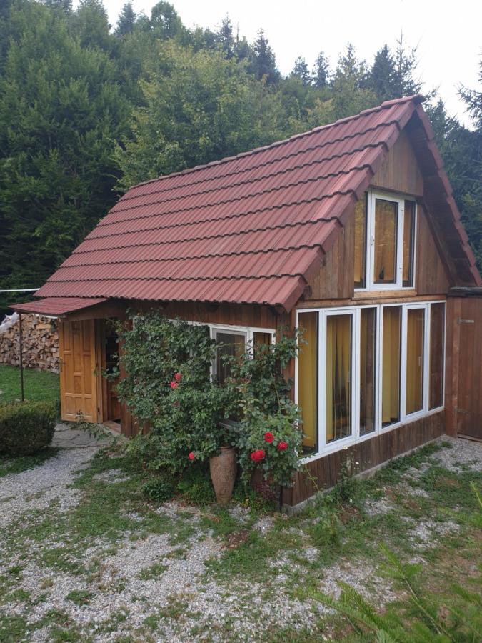Casa Maia Apartment Cîrţişoara Exterior foto