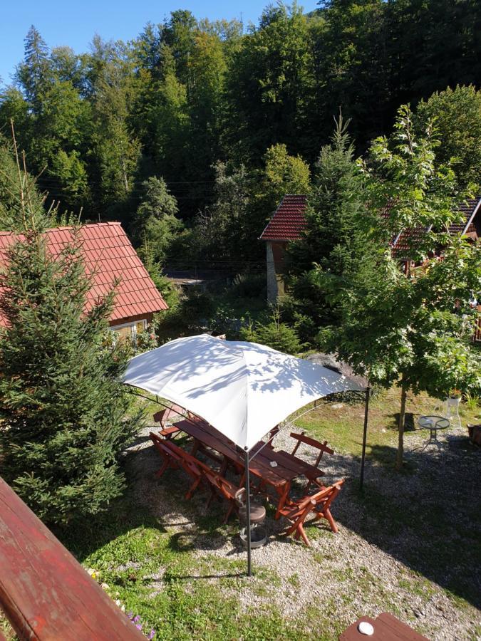 Casa Maia Apartment Cîrţişoara Exterior foto