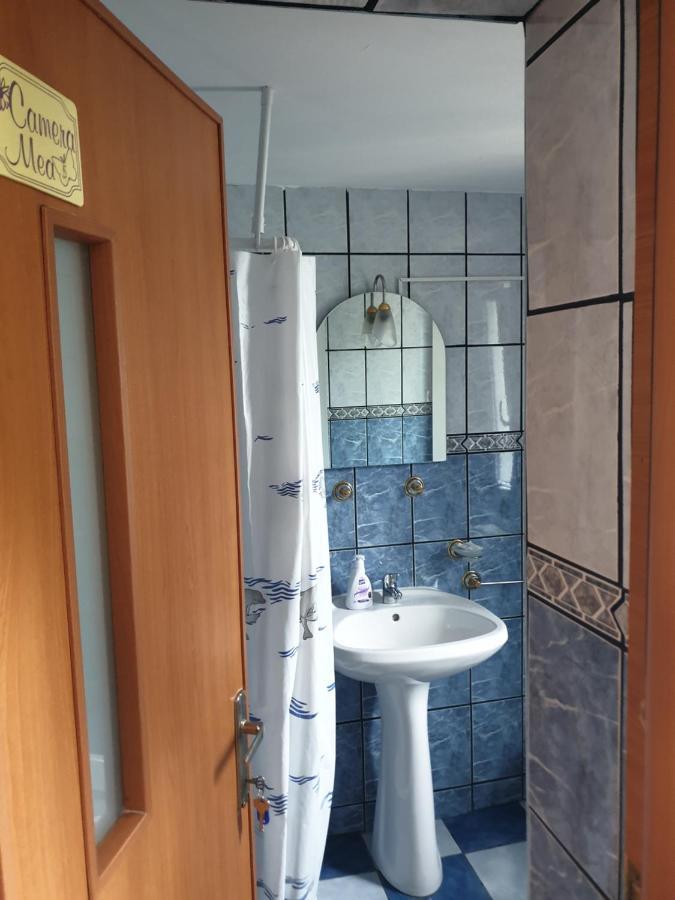 Casa Maia Apartment Cîrţişoara Exterior foto