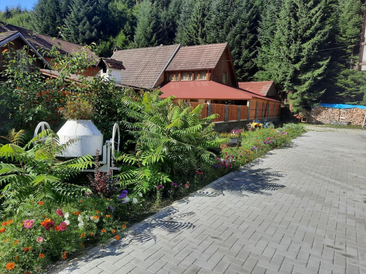Casa Maia Apartment Cîrţişoara Exterior foto