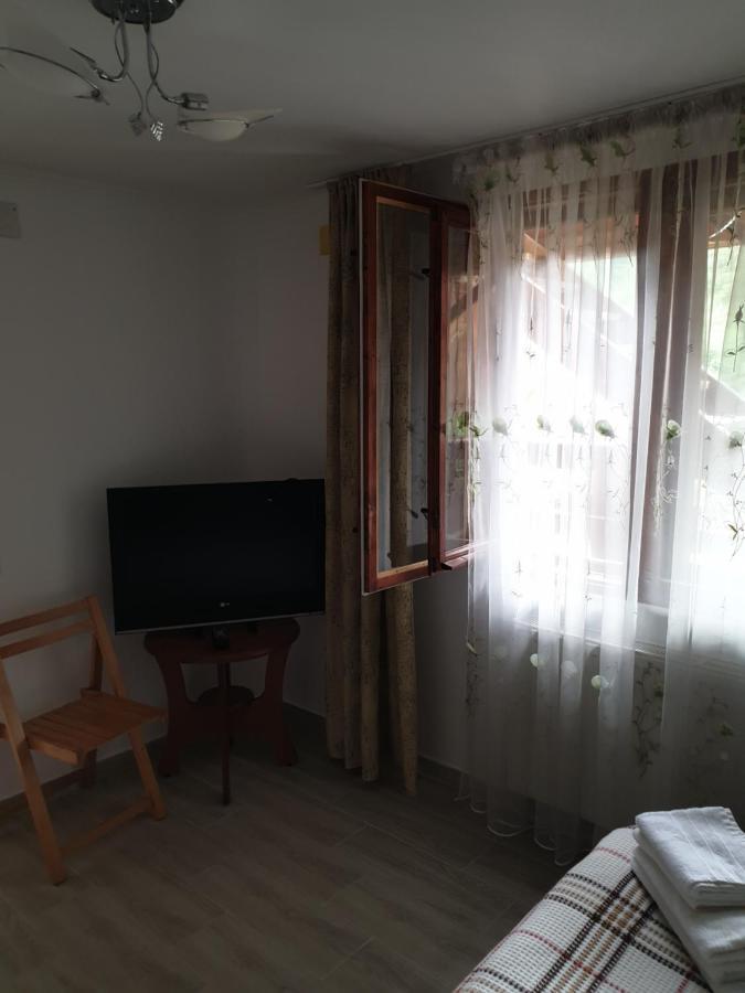 Casa Maia Apartment Cîrţişoara Exterior foto
