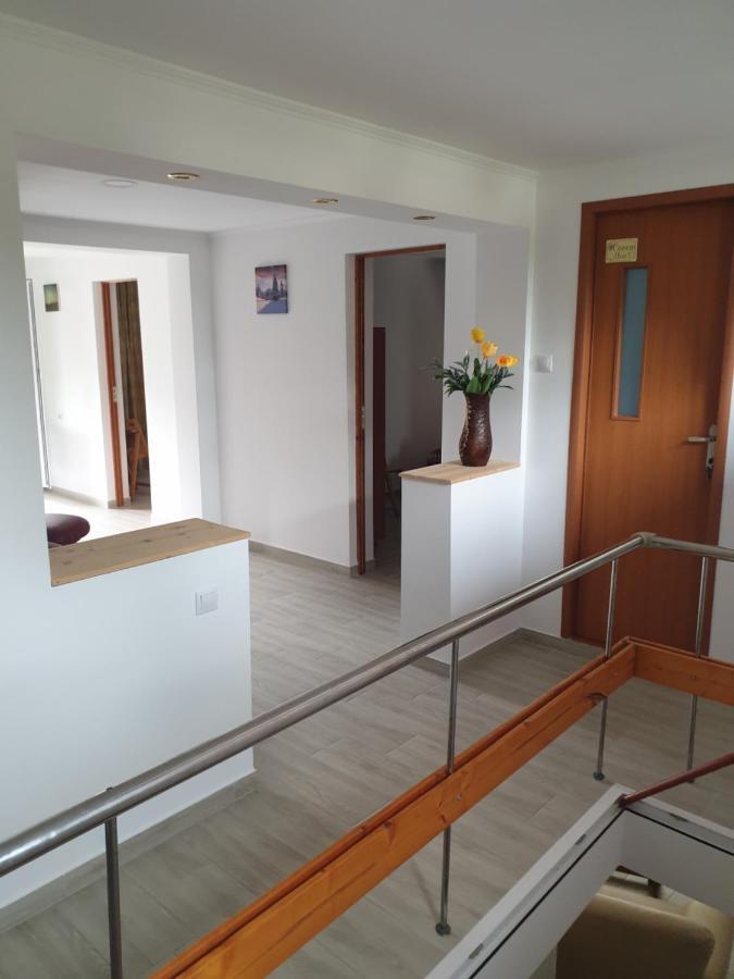 Casa Maia Apartment Cîrţişoara Exterior foto