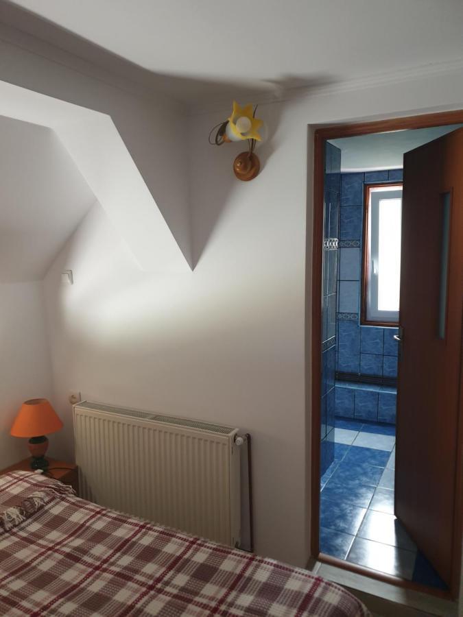 Casa Maia Apartment Cîrţişoara Exterior foto
