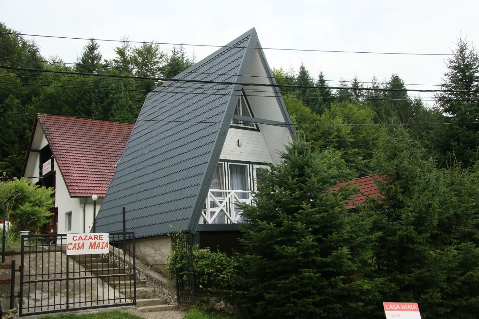 Casa Maia Apartment Cîrţişoara Exterior foto